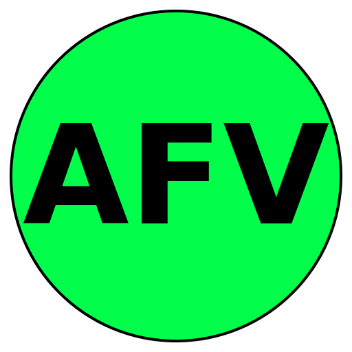AgileFit Values